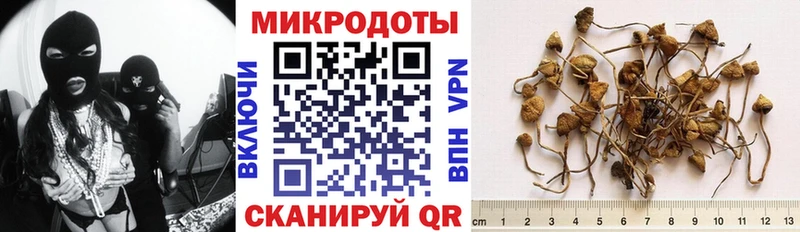Псилоцибиновые грибы GOLDEN TEACHER  Сосенский 